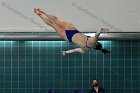 Women's Diving  Wheaton College Women’s Diving vs Mount Holyoke College. - Photo by Keith Nordstrom : Wheaton, Swimming & Diving